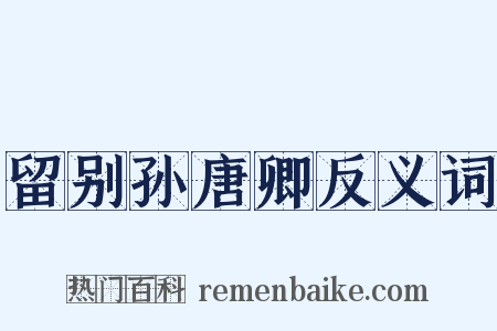 留别孙唐卿反义词是什么意思的图片